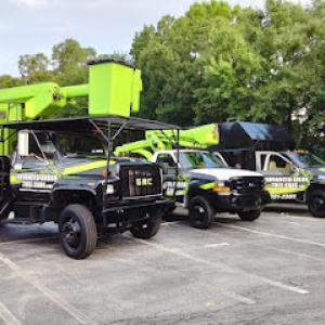 Advanced Arbor Professional Tree Care