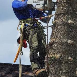 By The Bay Tree Service