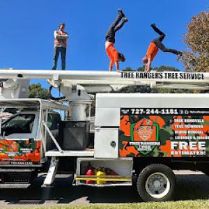 Tree Rangers Tree Service