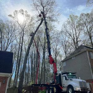 BH Enterprise & Landscaping