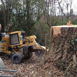 Bob's Stump Grinding Charleston, TN