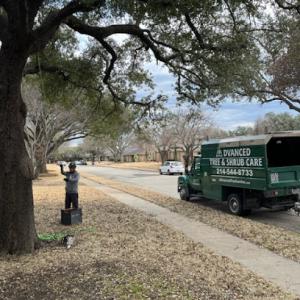 Advanced Tree & Shrub Care