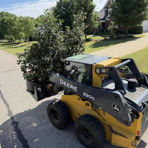 Rootbound Property Care