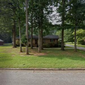 Carolina Tree Services