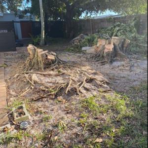 Abra Cadabra Stump Removal