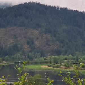 BirdDog MNGT / The Wood Guy