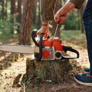 Tree Service Boss of Plano