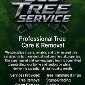 BCS Tree Service