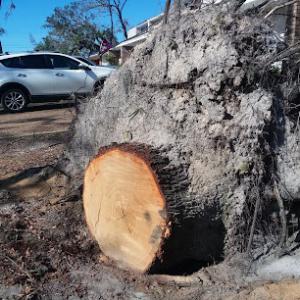 On Time Stumps & Outdoors - Columbus/Phenix City