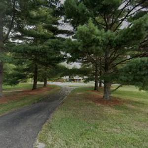 Gilmore's Stump Removal