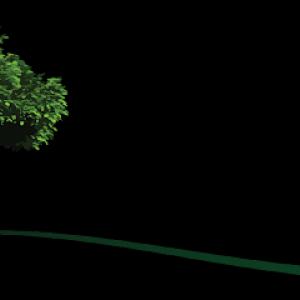 Carolina Property Solution & Tree Service