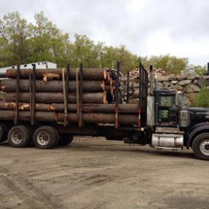 Accurate Tree Service