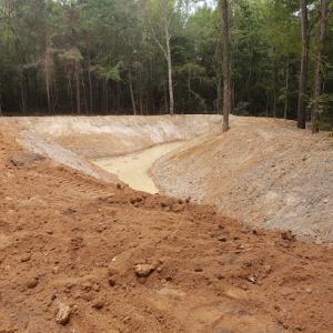 Woodard Tree Service