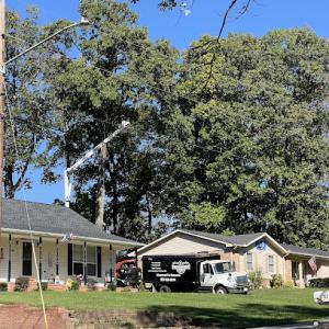 Upper Cumberland Tree Care & Land Management