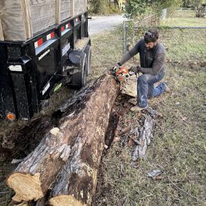 Tesla Tree Trimming-Tree Removal-Tree Cutting Services