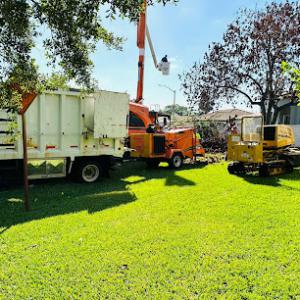 Perfect Trees Services