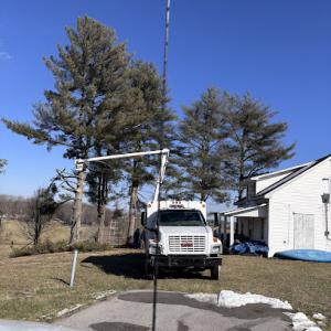A-1 Nantz & Sons Tree Service
