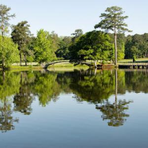 Southern Arbor Source