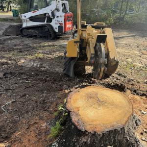 Don's Stump Grinding & Bobcat Service