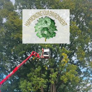 Harmony Tree Services