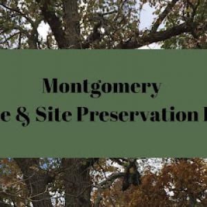 Montgomery Tree & Site Preservation
