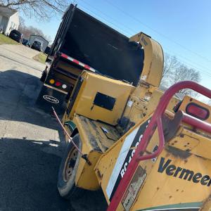 Julio Tree Service & Landscape