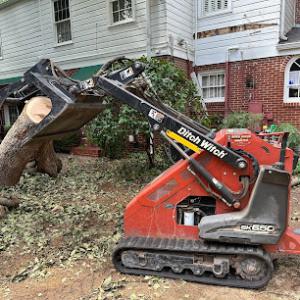 Leatherface Tree Service