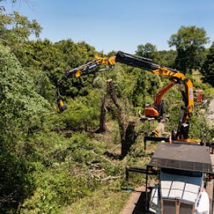 Southbury Tree Service