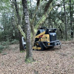 R&K Tree Service & Landscaping