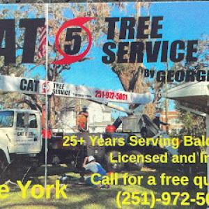 CAT 5 Tree Service