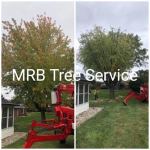 MRB Tree Service - Beavercreek, OH
