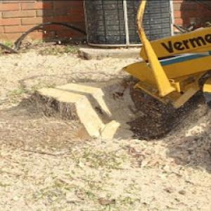 River Rock Tree Service