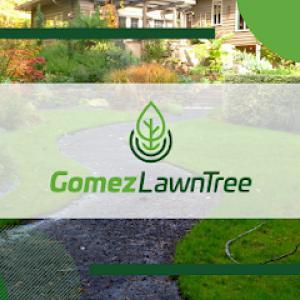 Gomez Lawn Tree