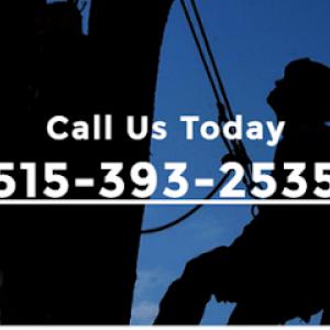 Des Moines Professional Tree Trimming Services