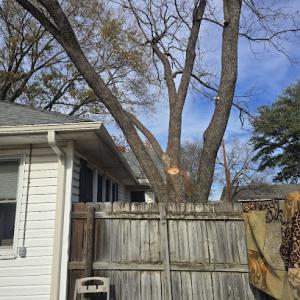 Texas Pride Tree Service & Clearing