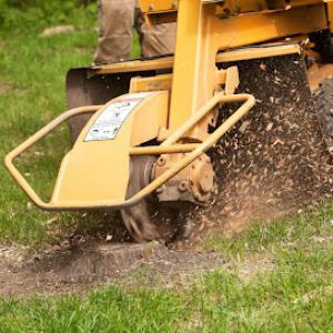 Dickson Tree Surgeon