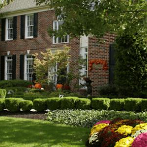 Simply Organic Turf Care