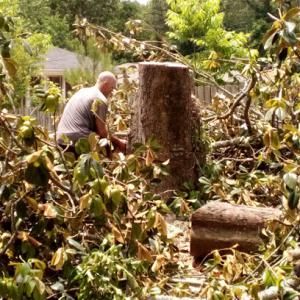 Same Day Lot & Land Clearing