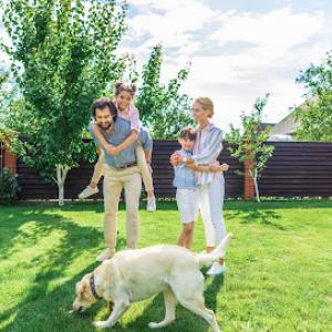 SavATree - Tree Service & Lawn Care