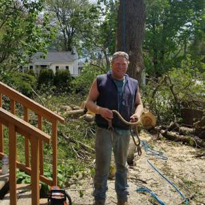 Just Jay 'N Tree Service