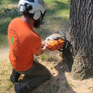 Oathkeepers tree care