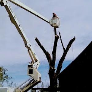 Jeremy Myers Tree service & Stump Grinding