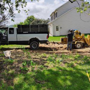 BB Wolfe Tree Service