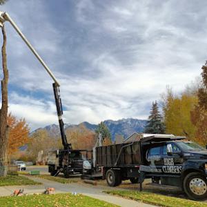 High Climbers Tree Care