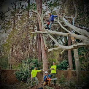 Manning Tree Service