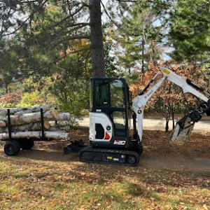 Tettegouche Treecare