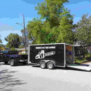 Brenda's 24/7 Tree Service