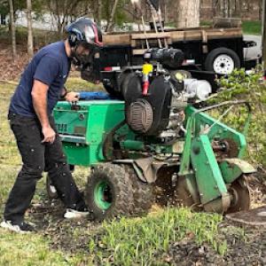 Elite Stump Grinding