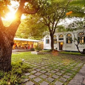 Treemans Tree Service