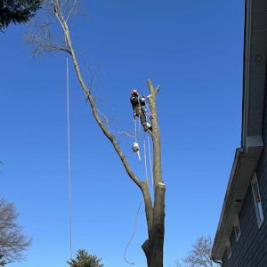 Storm's Fair Tree Service